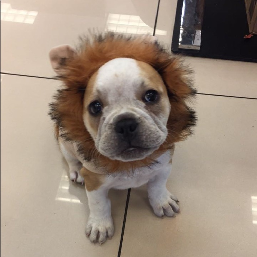 Meet your Posher, Cindy